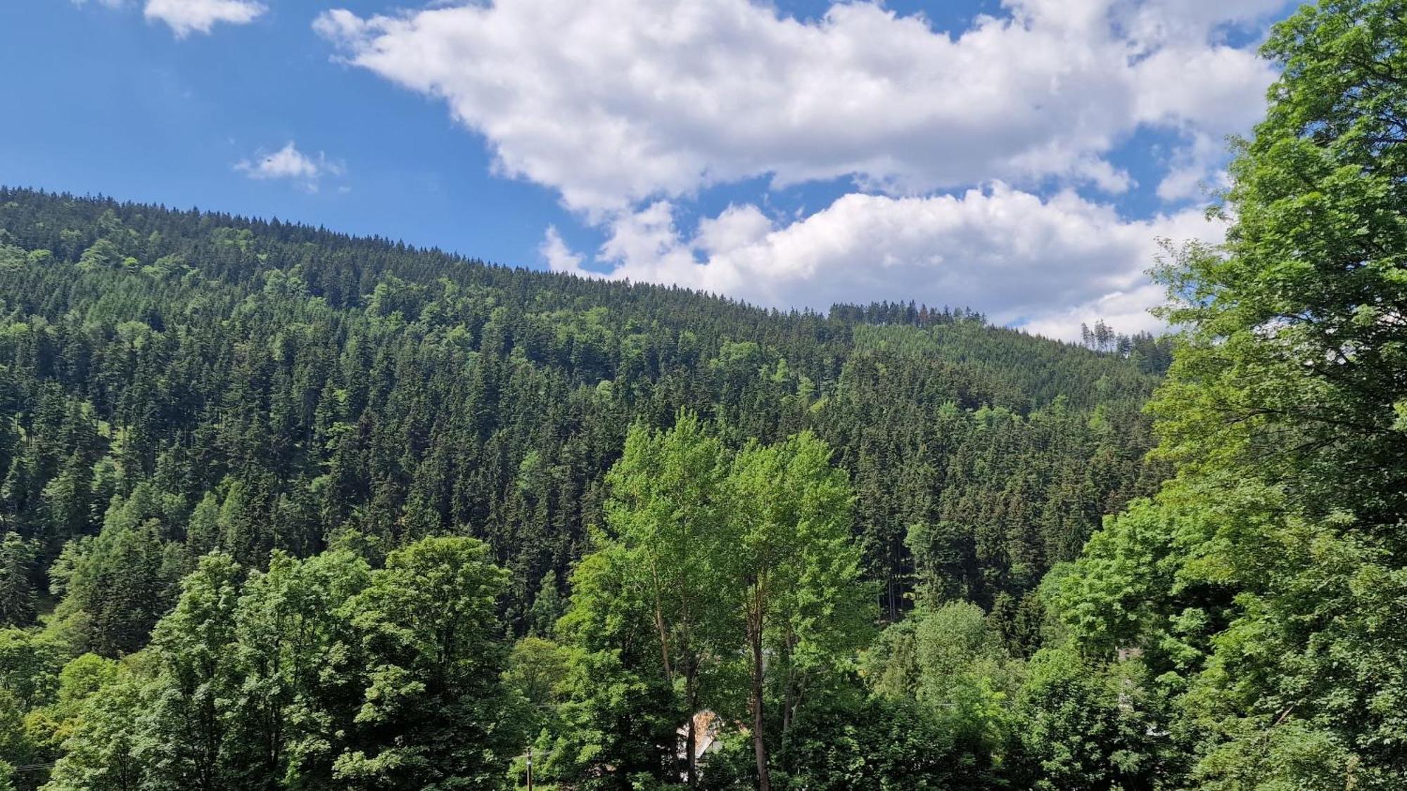 Pension Pstruzi Абертами Экстерьер фото